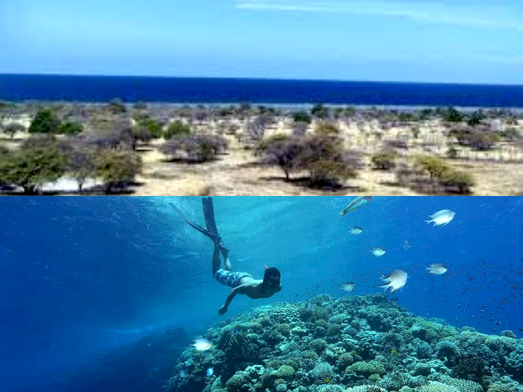 Pesona Memukau Pantai Puru Kambera, Hidden Gemnya di Pulau Sumba!