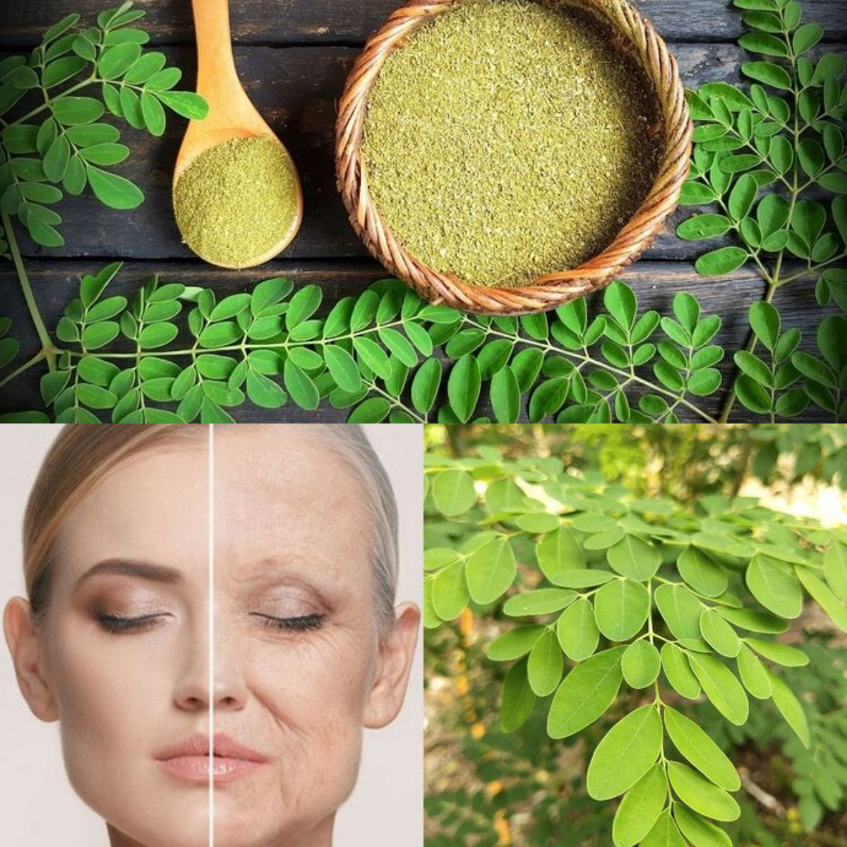 Rahasia Cantik Alami: Manfaat Daun Kelor untuk Wajah Cerah, Halus, dan Bebas Jerawat!