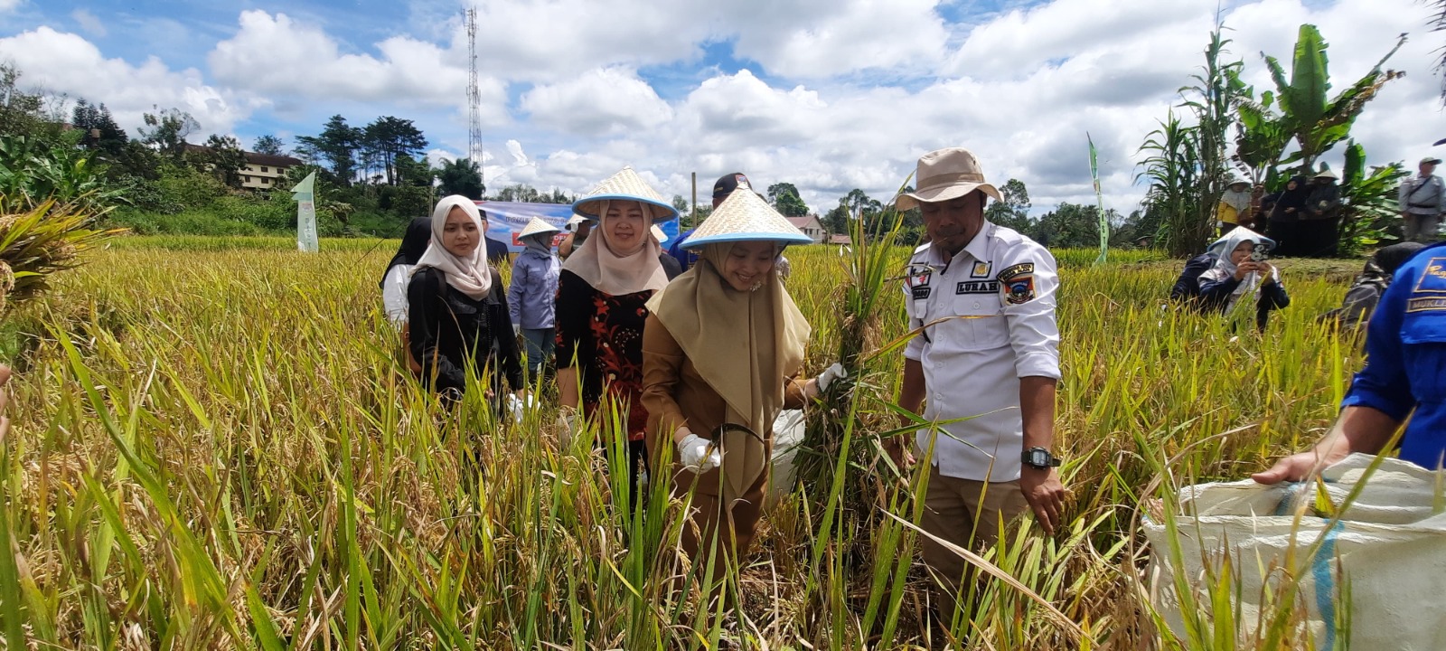 Pinta Distan Berinovasi Genjot Produksi GKP di Pagar Alam