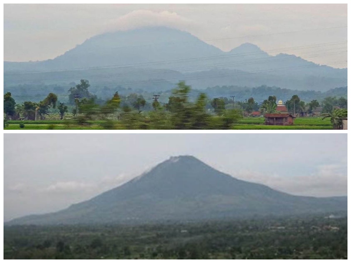 Gunung Pandan: Sejarah dan Mitos di Balik Tanaman Pandan yang Mempesona