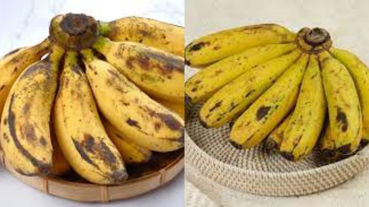 Menstabilkan Gula Darah Ini Teryata Guys Manfaat Dari Pisang Raja Bulu Yang Luar Bisa Bagi Penderita Diabetes!