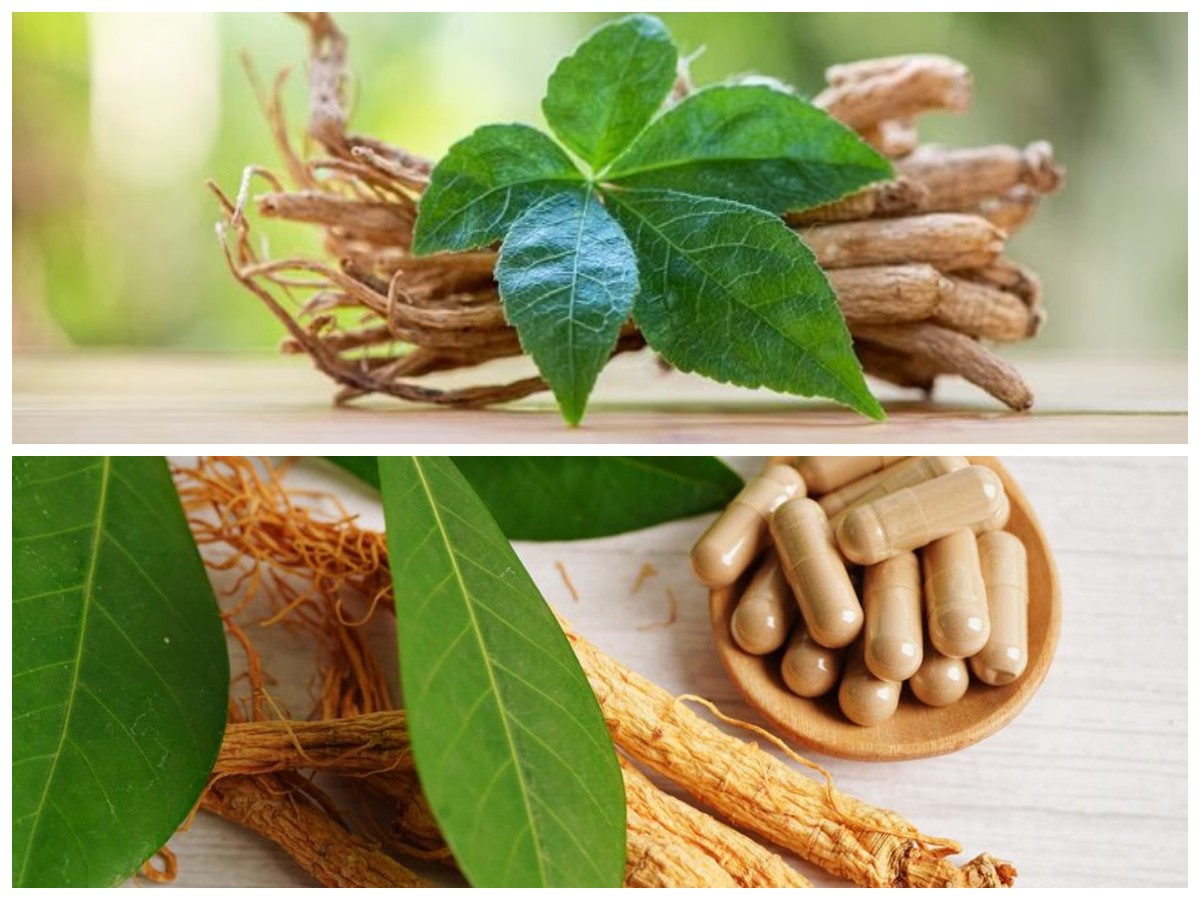 6 Manfaat Daun Ginseng untuk Kesehatan, Ampuh Bantu Lawan Berbagai Penyakit