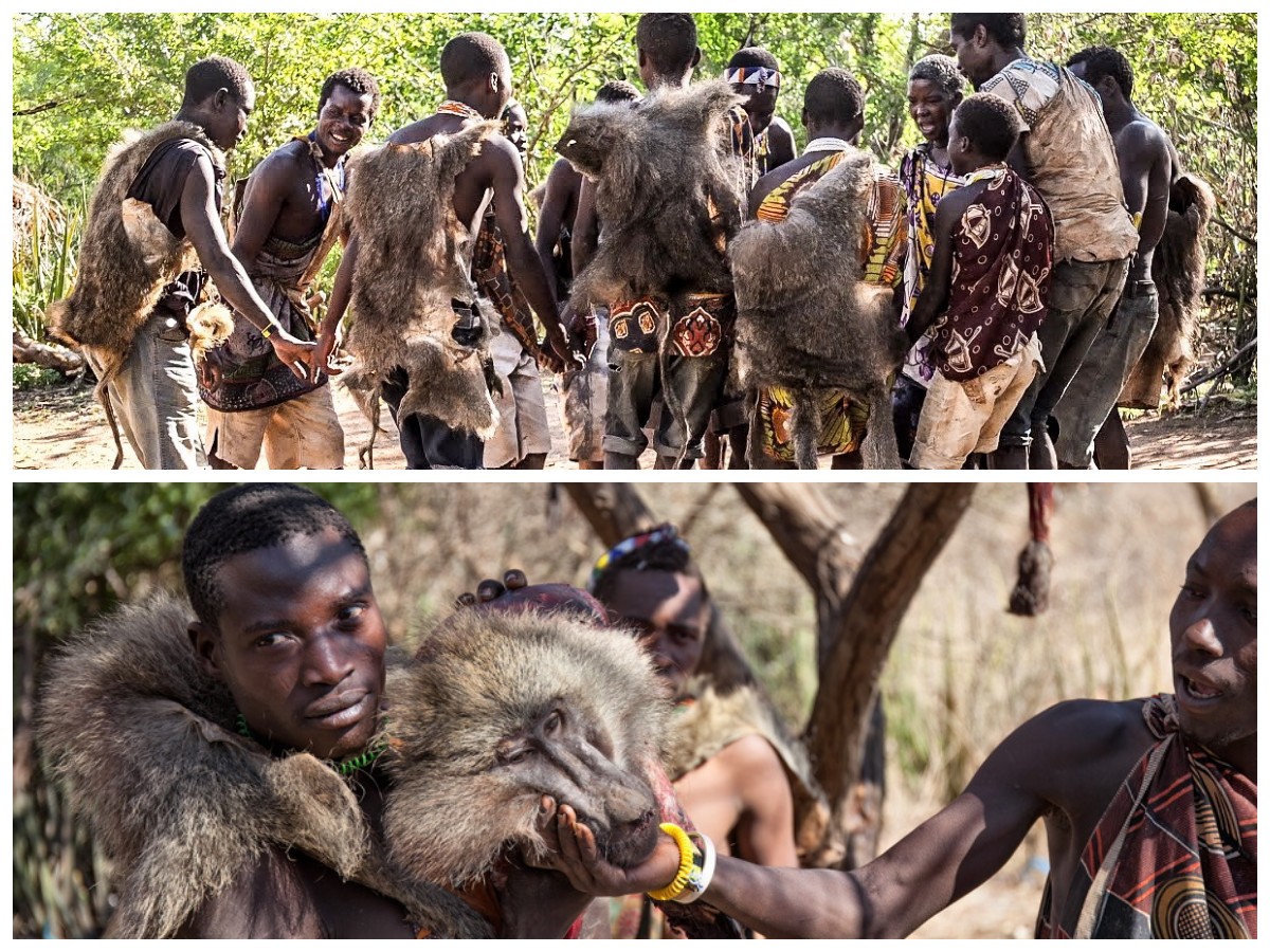 Warisan Leluhur Hadzabe: Potret Otentik Peradaban Purba Afrika Timur