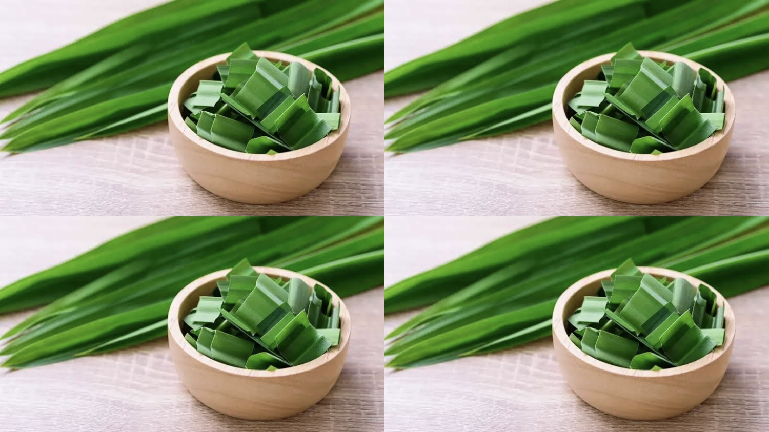 Daun Pandan, Herbal Sederhana untuk Gula Darah Stabil dan Kolesterol Sehat