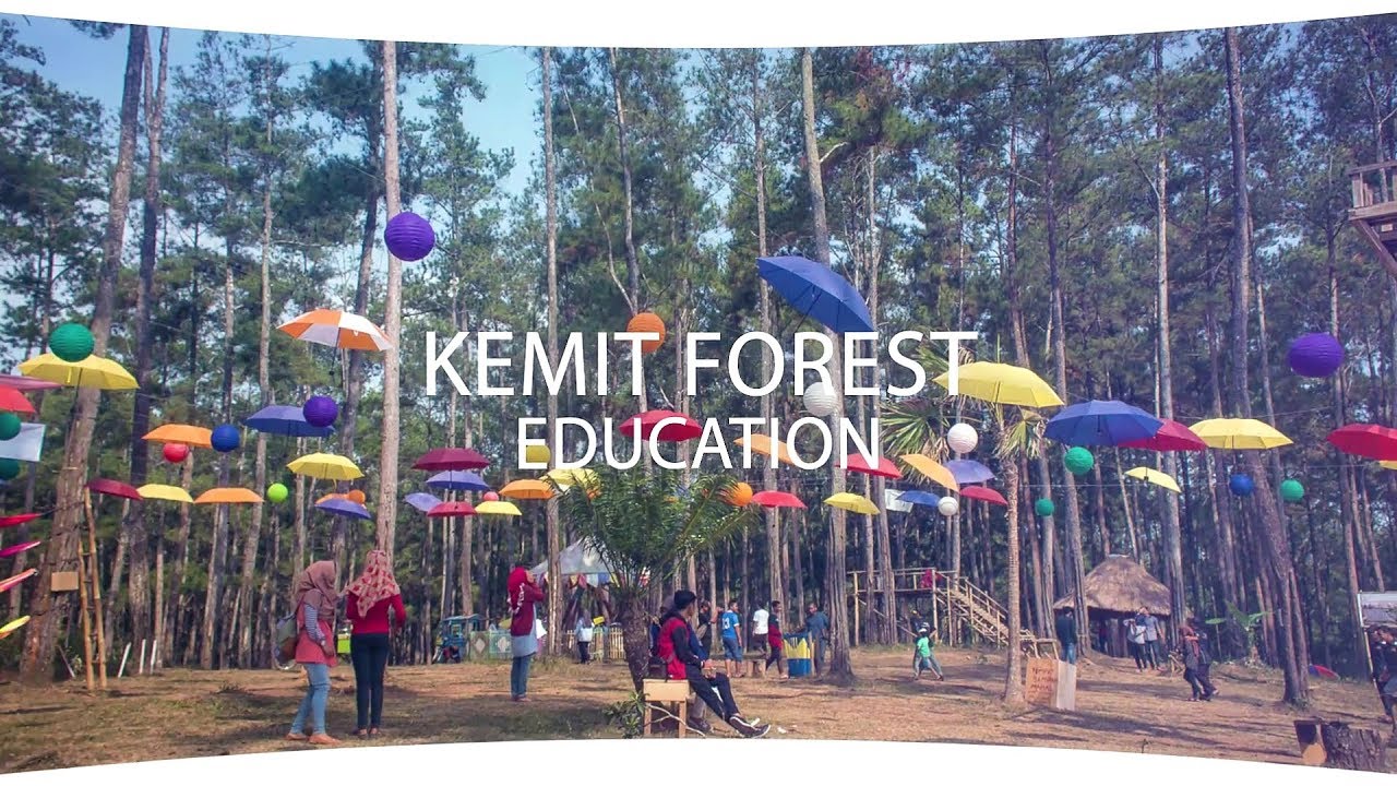 Inilah Kemit Forest Di Cilacap, Wisata Edukasi Dan Mendidik Bersama Keluarga!