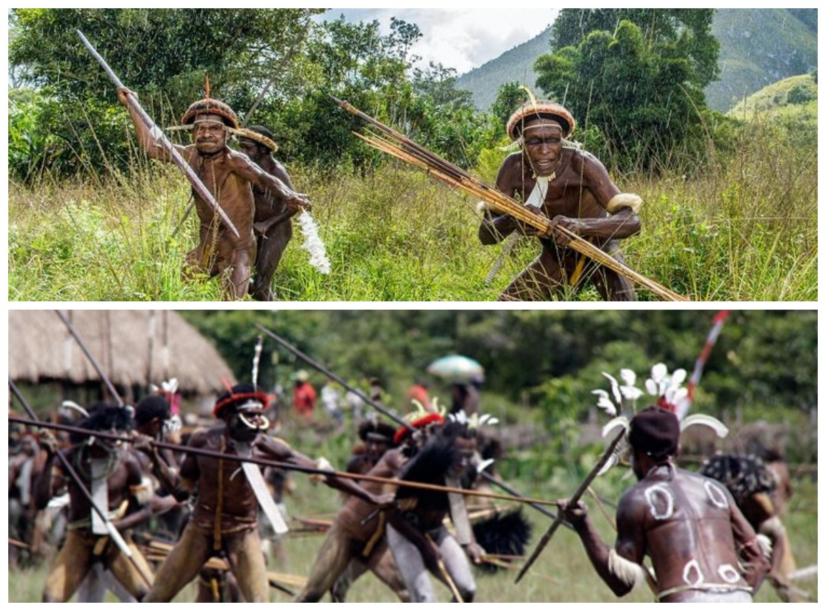 Kearifan Budaya Suku Dani di Lembah Baliem Papua: Menelusuri Tradisi dan Kehidupan Sehari-hari yang Menarik