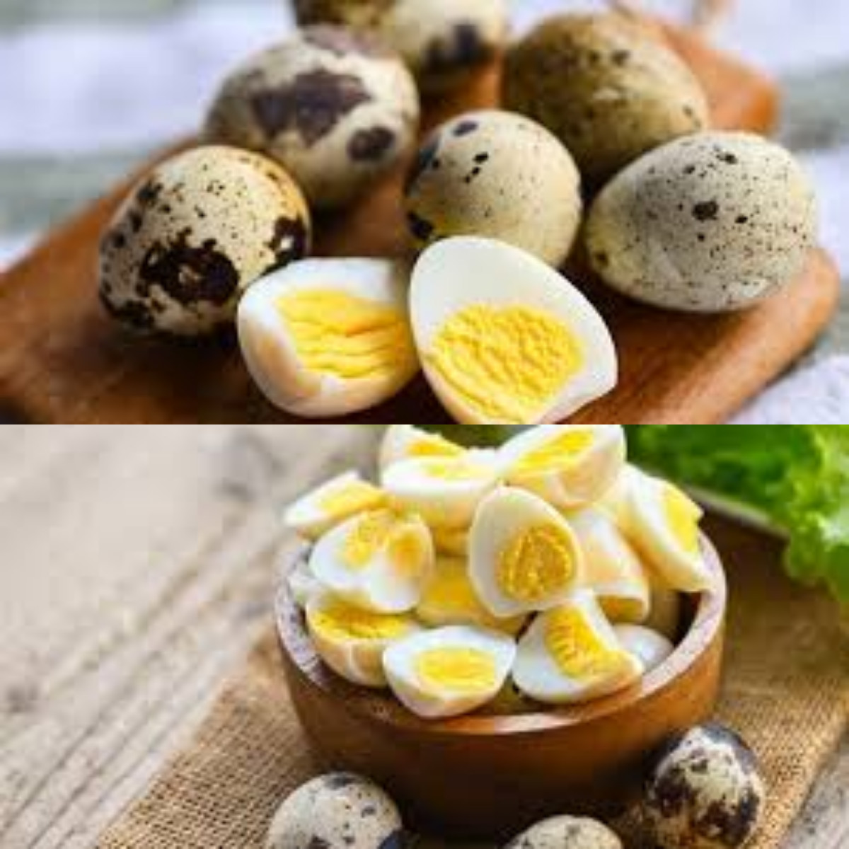  Inilah Sumber Protein yang Banyak Manfaatnya, Telur Puyuh yang Jarang Diketahui!