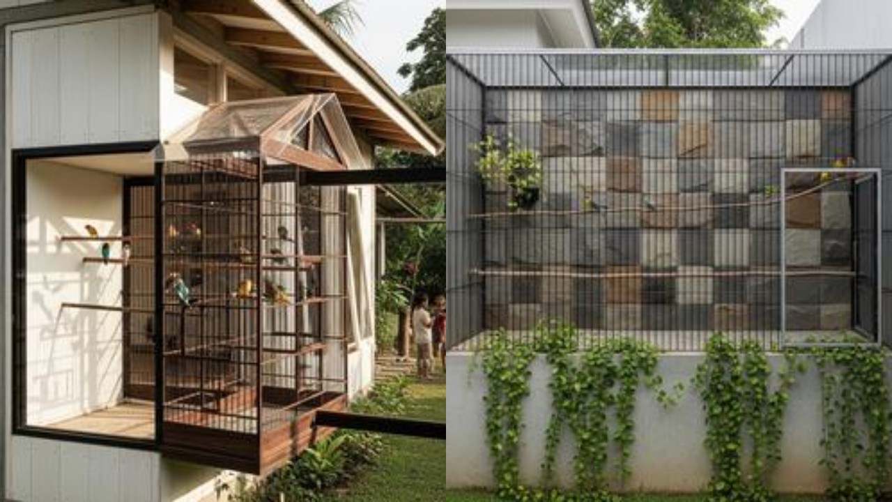 Kandang Burung Sederhana, Solusi Cantik untuk Pecinta Burung di Rumah!