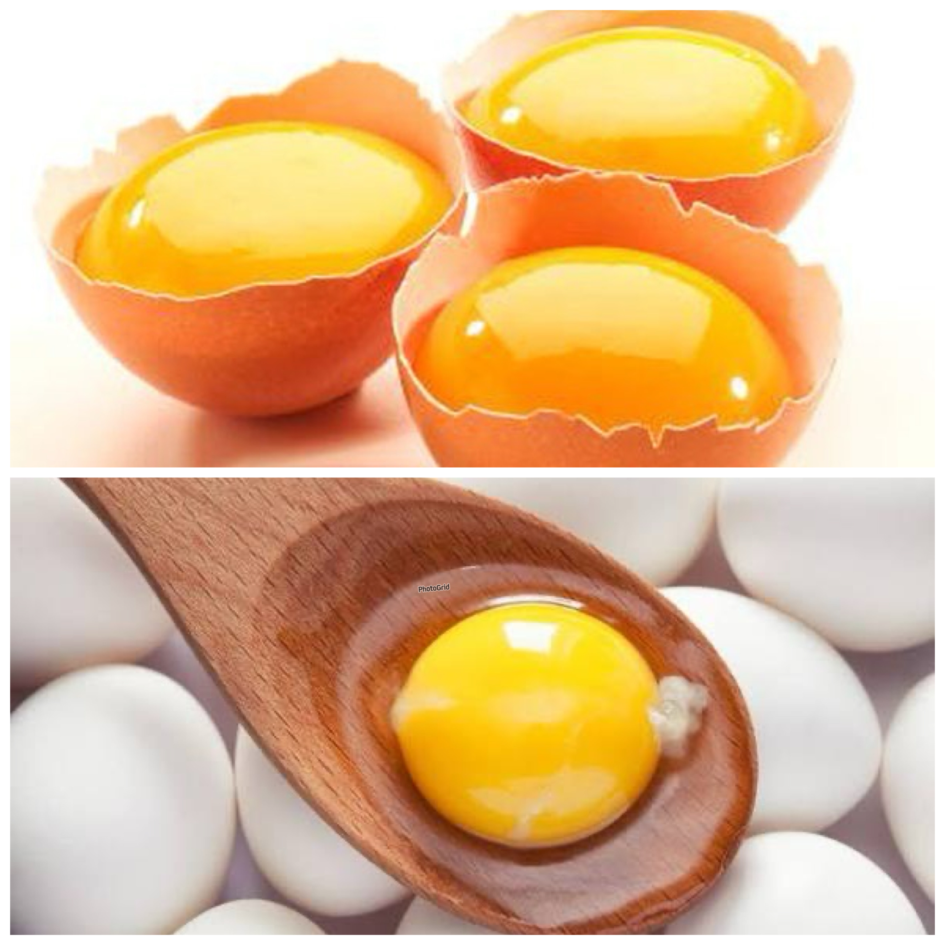 Manfaat Kuning Telur Ayam Kampung untuk Tubuh, Bernutrisi tetapi Jangan Berlebihan