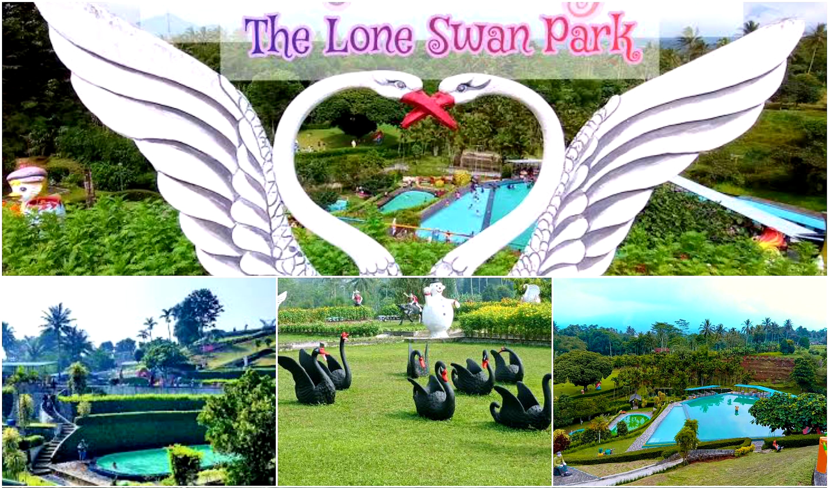 Liburan Keluarga di Lone Swan Park. Taman Angsa Taman Rekreasi Keluarga dengan Banyak Daya Tarik