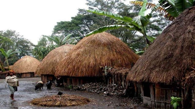 Kamu Harus Tau! Inilah 3 Rumah Adat Suku Papua yang Miliki Filosopi Sejarah yang Unik