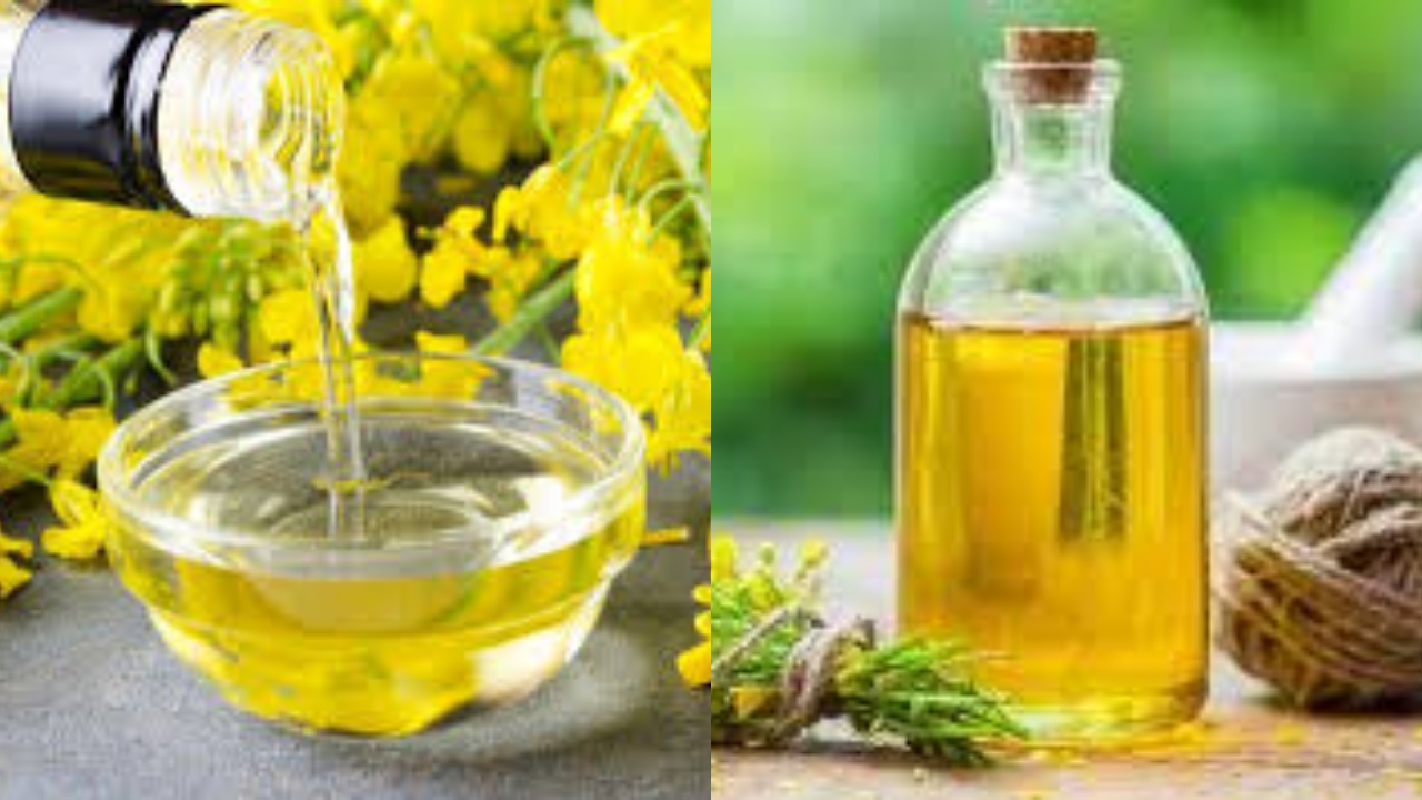 Yuk Simak! Inilah Manfaat Minyak Kanola Untuk Kesehatan Keluarga Yang Luar Biasa