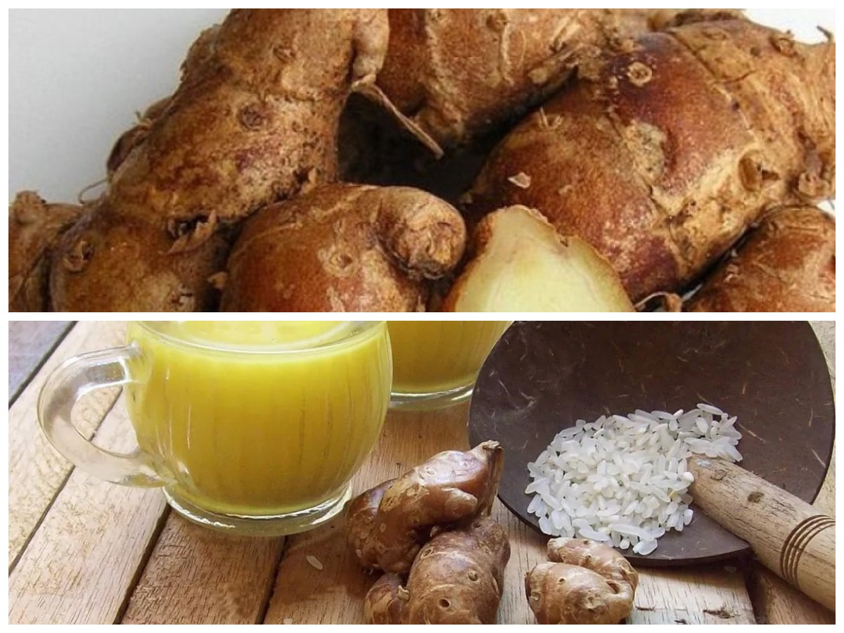 Rahasia Sehat Alami: 8 Khasiat Kencur dan Cara Tepat Mengonsumsinya