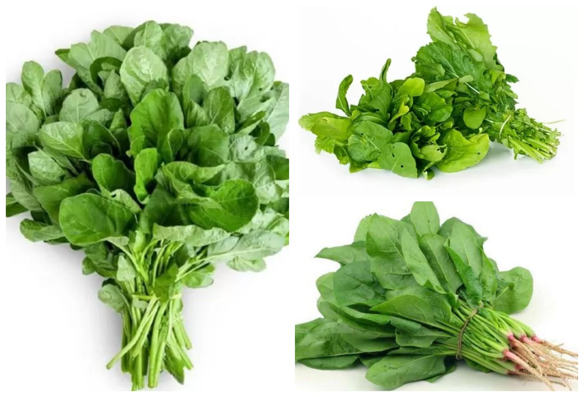 Inilah Manfaat Bayam untuk Menjaga Kesehatan Mata!!
