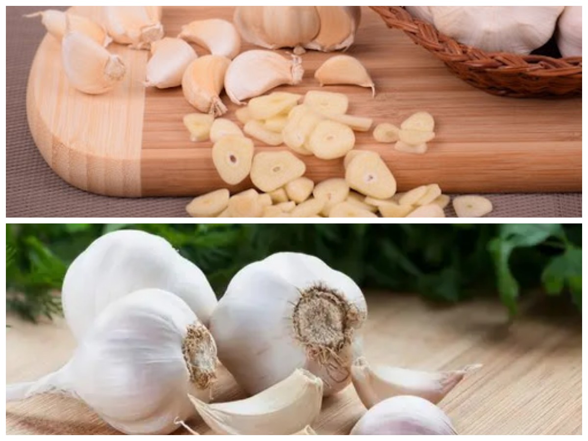 Rahasia Sehat dari Bawang Putih: Dari Imunitas hingga Jantung Sehat