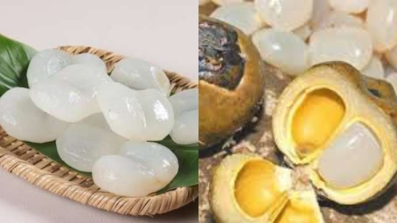 Beragam Manfaat Buah Lontar Yang Harus Kalian Tahu!