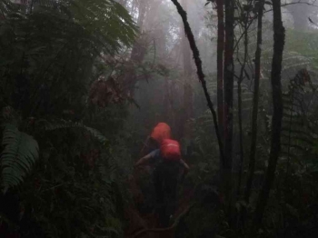 Peringatan Untuk Para Pendaki, Ini 4 Hal Yang Harus Diketahui Jika Mendaki Gunung Salak!