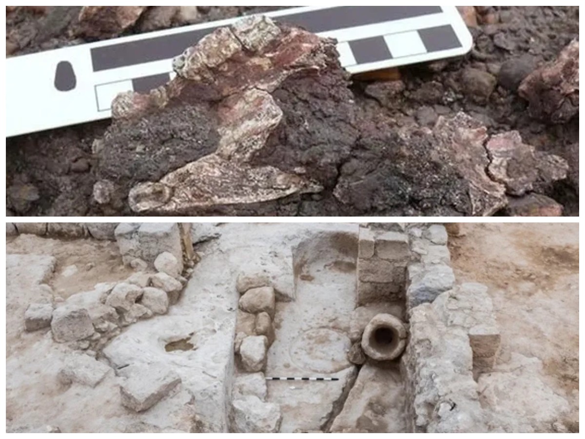 Pemerintah Timur Tengah Larang Arkeolog Sentuh Makam Kuno Umat Islam untuk Penelitian 