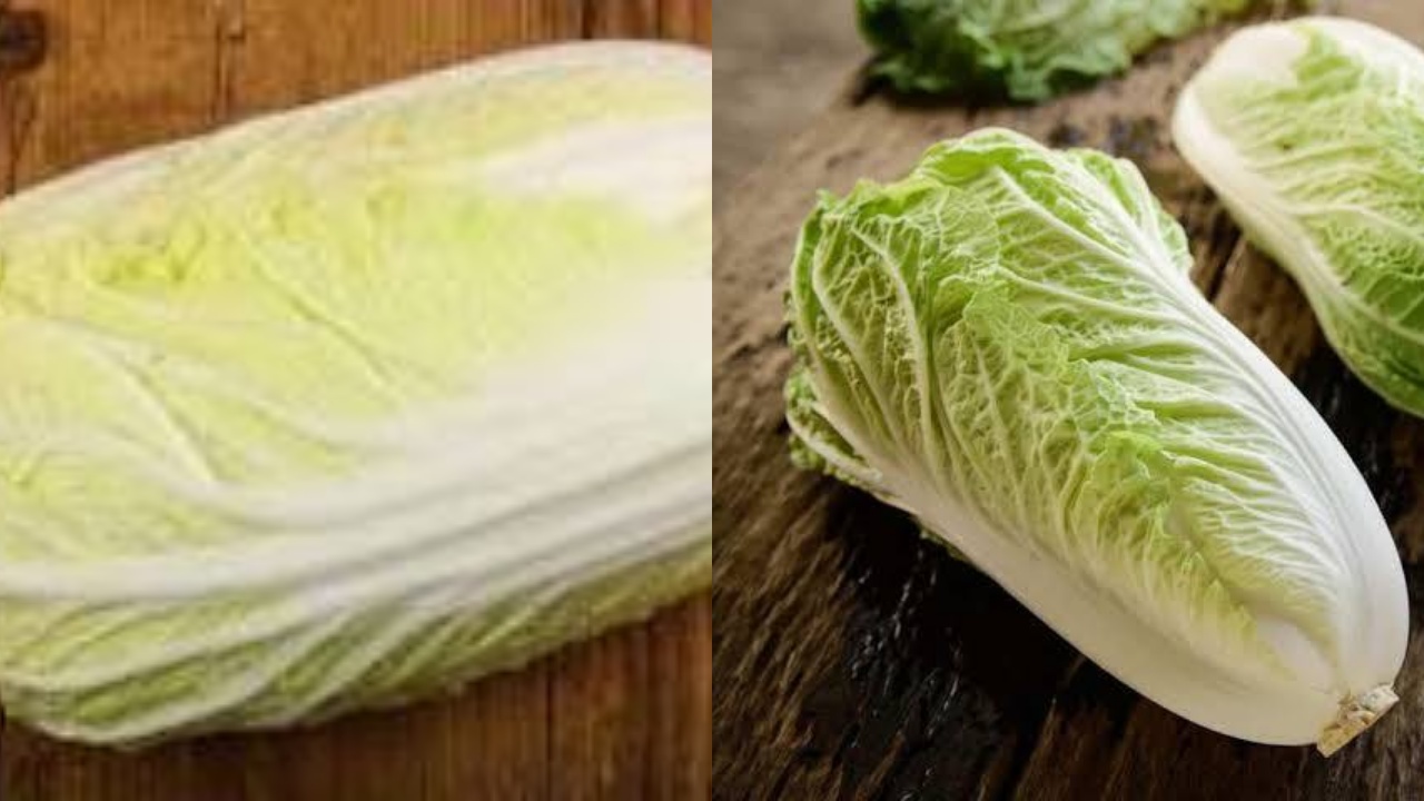 Yuk Simak! Inilah Manfaat Sawi Putih Untuk Kesehatan dan Cara Mengolahnya