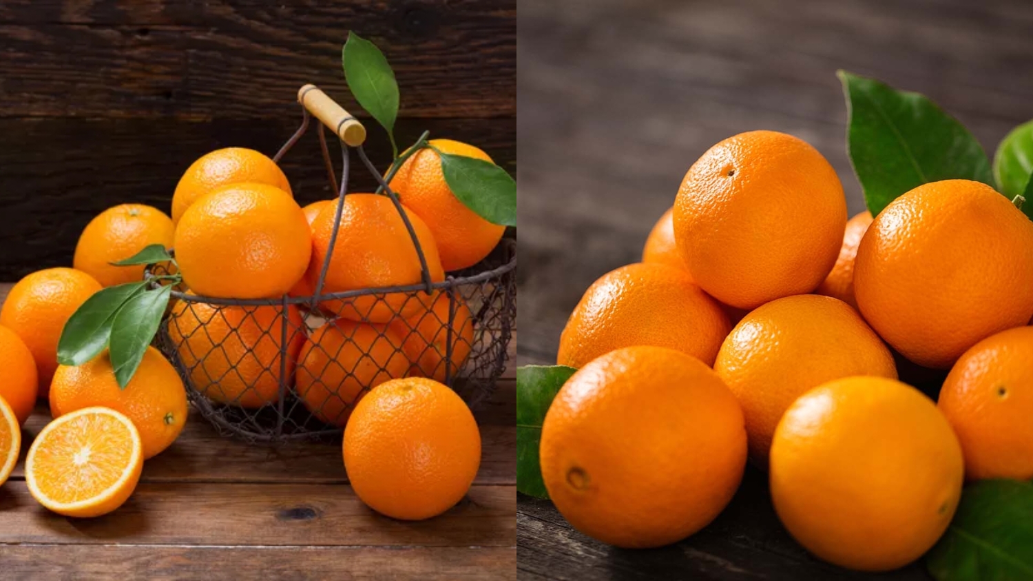 Jeruk Baby Kandungan Gizi dan Manfaat Utamanya Yang Harus Kalian Ketahui! 