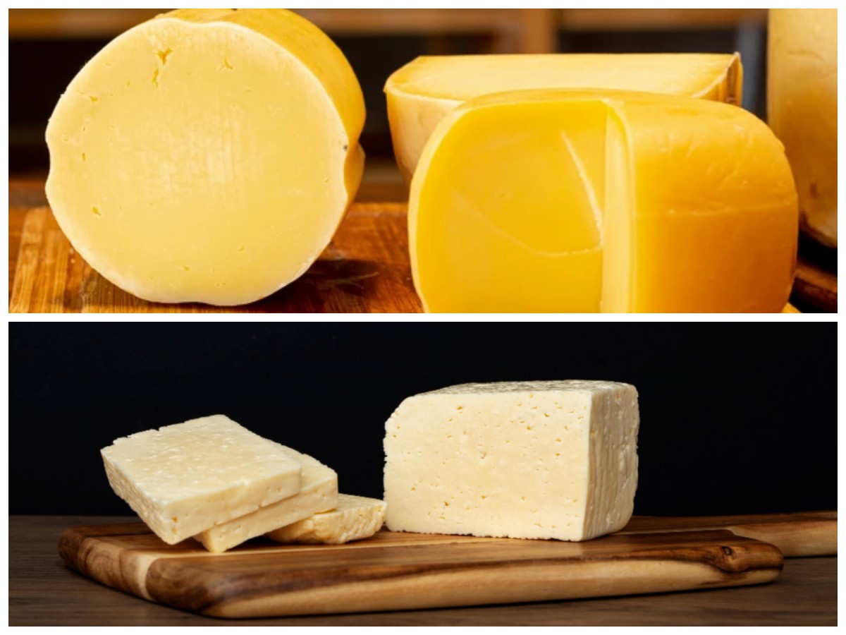 Mengenal Keju Edam: Asal Usul, Nutrisi, dan Segudang Manfaatnya untuk Kesehatan!