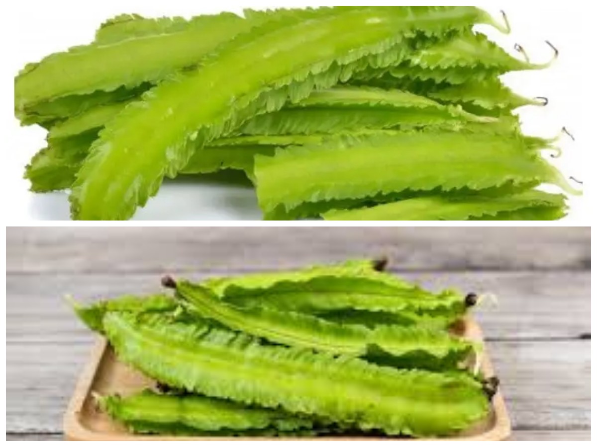 Kaya Gizi dan Serbaguna, Ini 9 Khasiat Kecipir yang Baik untuk Tubuh