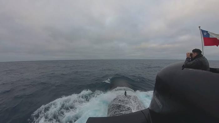 Pantau Kapal Penangkap Ikan Dari Cina, AL Chili Kerahkan Kapal Selam Scorpene Class