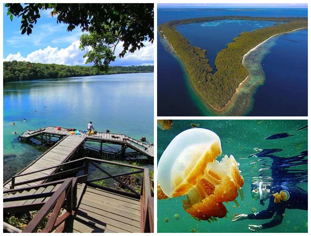 Menelusuri Sejarah Danau Kakaban: Keajaiban Laut Purba di Tengah Pulau!