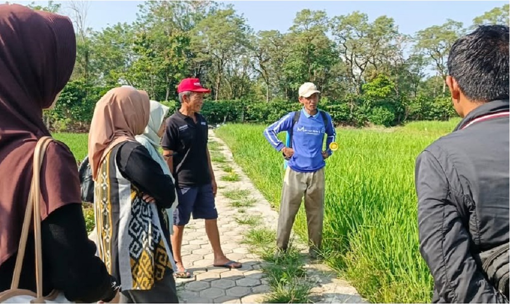 Cegah Gagal Panen, Petani di Pagar Alam Gencarkan Pengendalian Hama Tikus