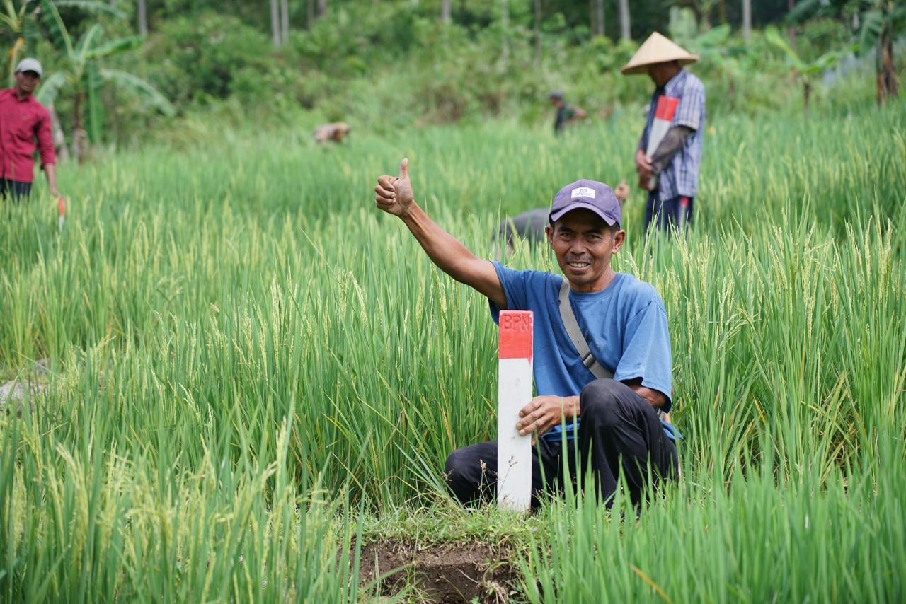 Pulang Kampung Saat Lebaran? Pastikan Batas Tanah Jelas untuk Hindari Sengketa