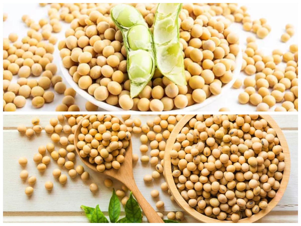 Rahasia Sehat dari Kacang Ajaib: Deretan Manfaat Kedelai untuk Tubuh yang Jarang Dibahas!