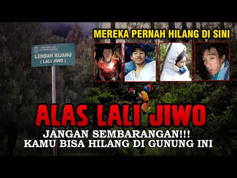 Kisah Alas Lali Jiwo Gunung Arjuno, Kisah Mistis Yang Membuat Puluhan Pendaki Hilang Disini!