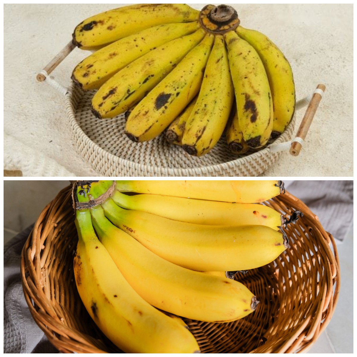 Rahasia Sehat Alami: Segudang Manfaat Pisang Ambon untuk Tubuh Anda!