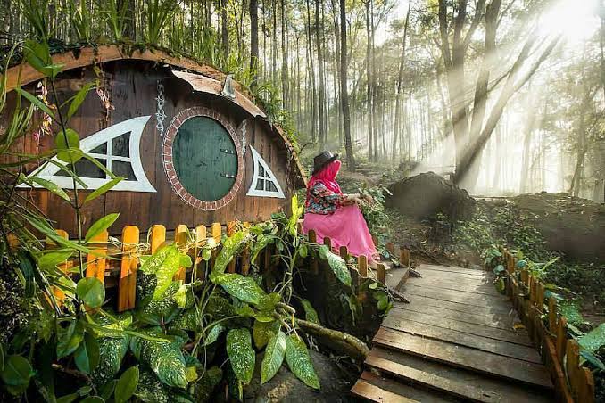 Staycationmu Gitu-gitu Aja? Ini Lho Glamping Yogyakarta Tawarkan Suasana Berbeda Nikmati Liburan Berkesan!