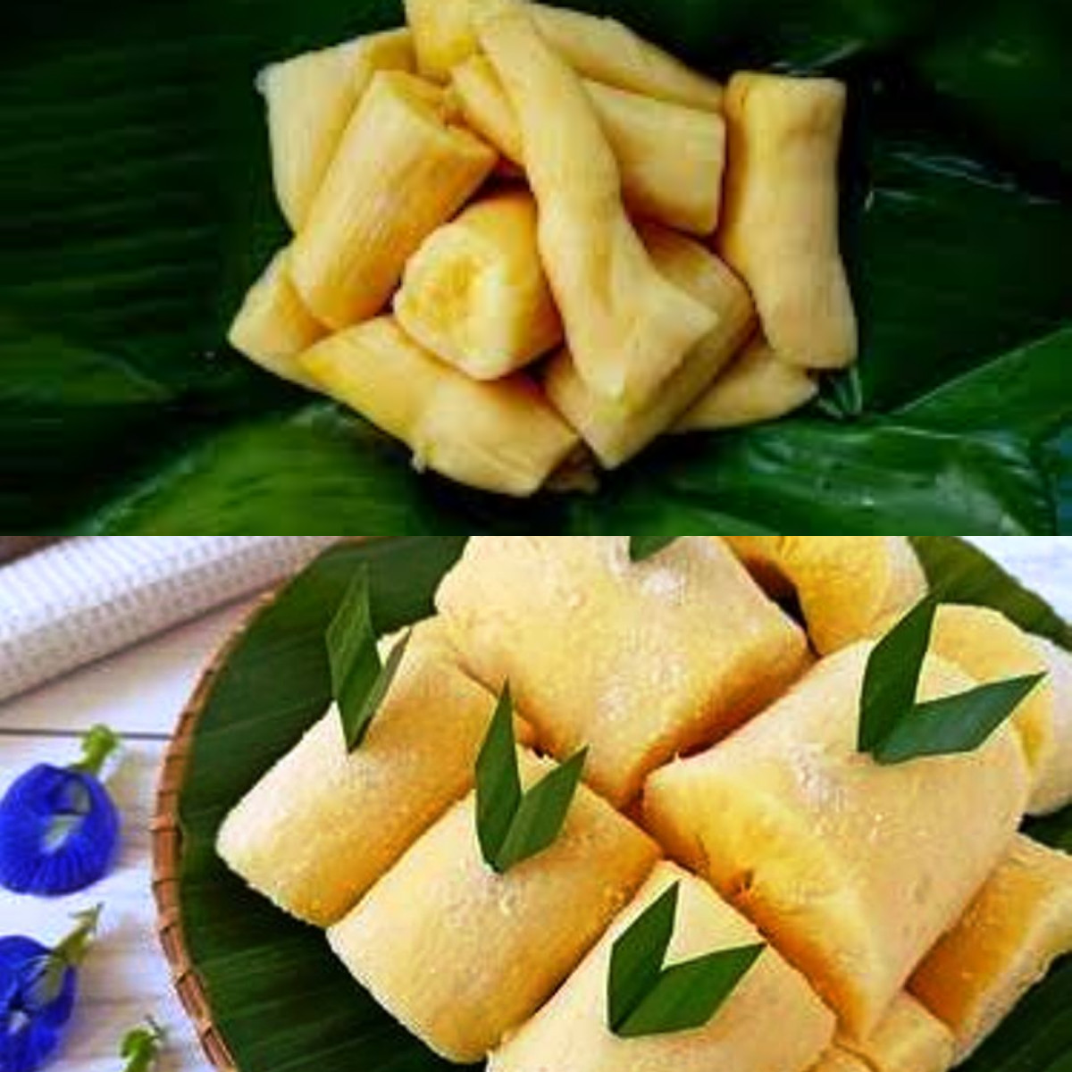 Baru Tahu Inilah 7 Keuntungan Tape Singkong Bagi Kesehatan!