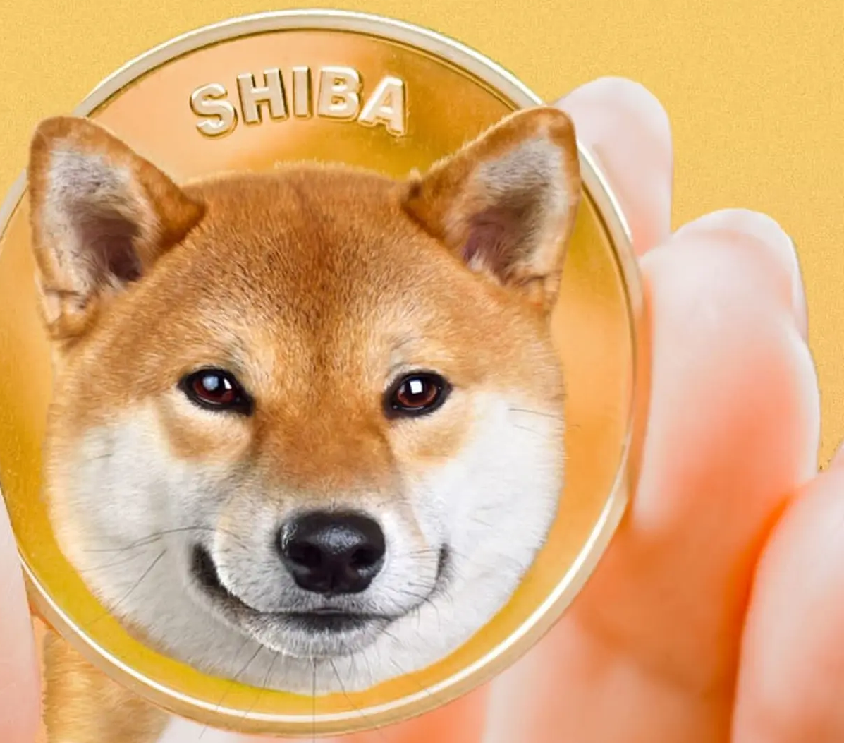 Harga Shiba Inu Tetap Stabil Meski Adopsi Meningkat