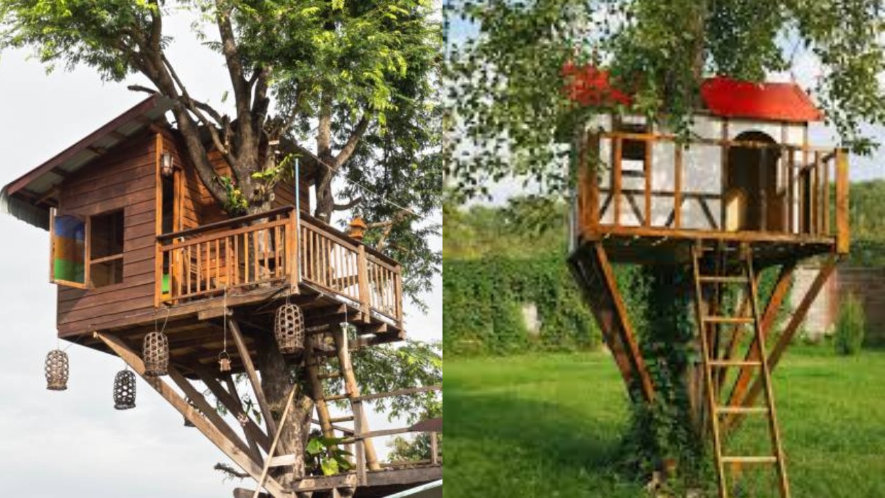 Inspirasi Model Rumah Kayu Sederhana di Pohon yang Menyatu dengan Alam!