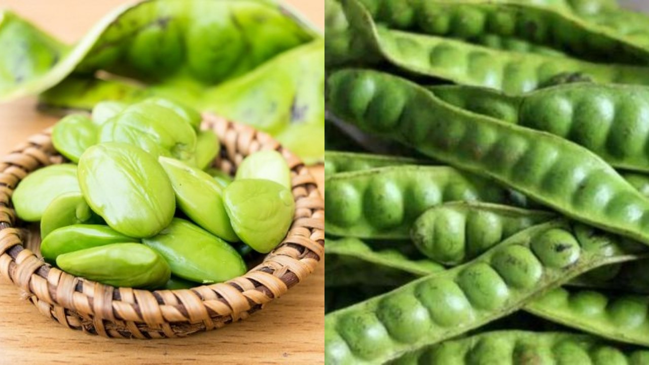 Manfaat Petai bagi Kesehatan Tubuh Anda, Jangan Remehkan Aromanya!
