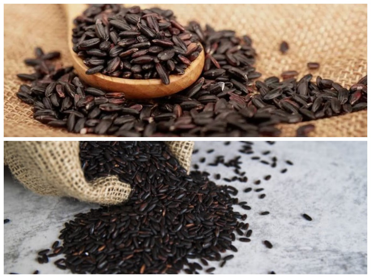 Ketan Hitam, Superfood Lokal dengan Segudang Khasiat untuk Menjaga Kebugaran Tubuh