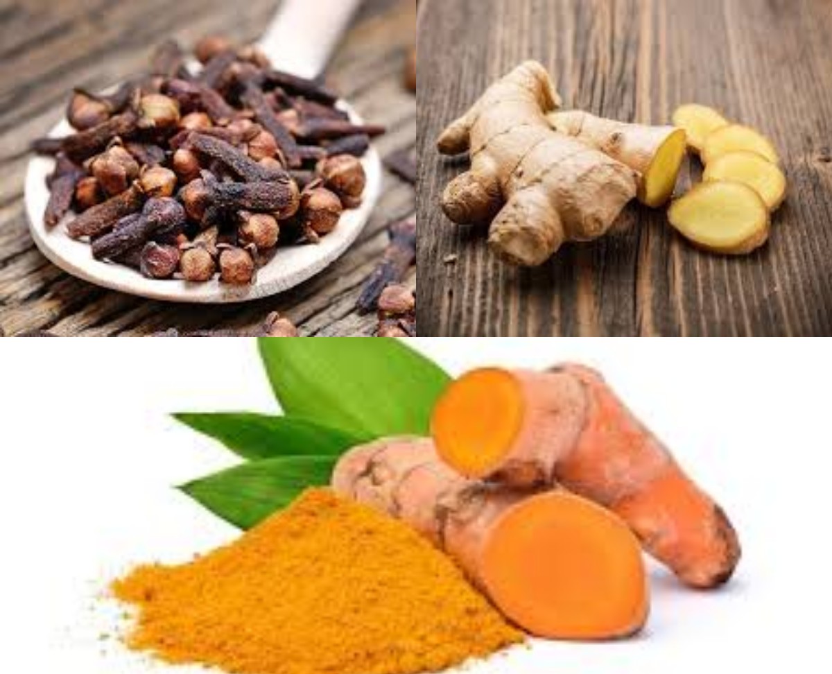 Manfaat Rempah untuk Kesehatan: Mengungkap Khasiat Alami yang Tak Terbantahkan
