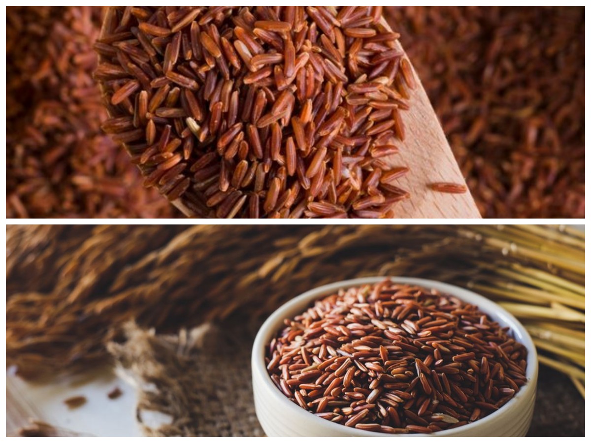 Segudang Khasiat Beras Cokelat: Rahasia Sehat dari Sumber Karbohidrat Alami