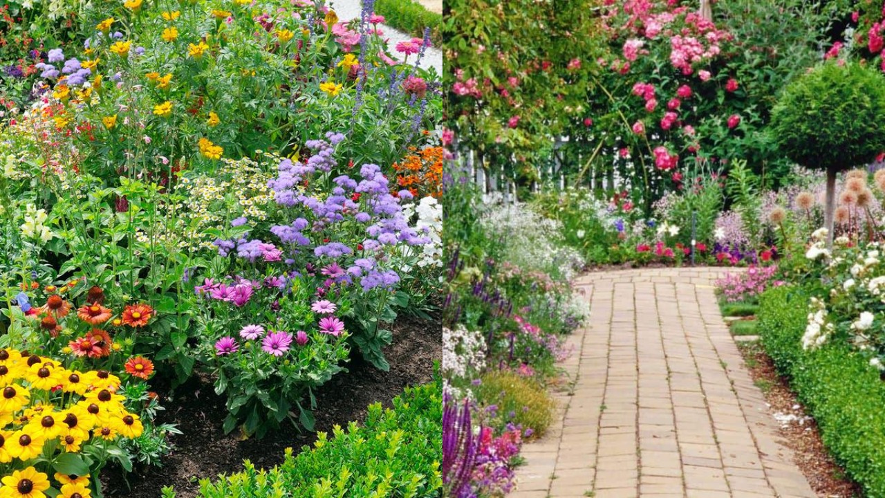 Rekomendasi Tanaman Hias Pekarangan Rumah yang Estetik dan Menyejukkan!