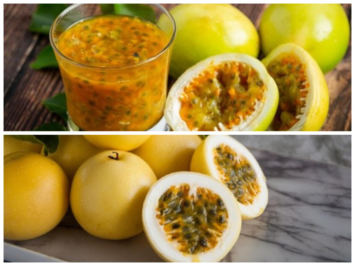 Manfaat Tak Terduga Buah Markisa: Kecil, Asam, Tapi Kaya Khasiat