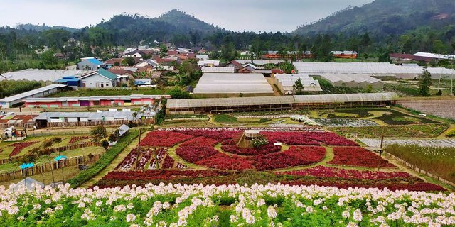 Wisata Menakjubkan yang Terdapat di Purbalingga, Simak Ulasannya!