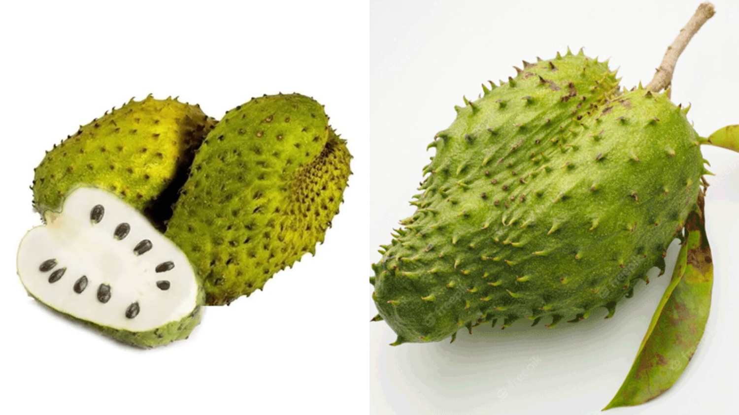 Wanita Harus Tahu! Teryata Ini Manfaat Buah Sirsak Untuk Kesehatan Yang Luar Biasa Lihat Disini