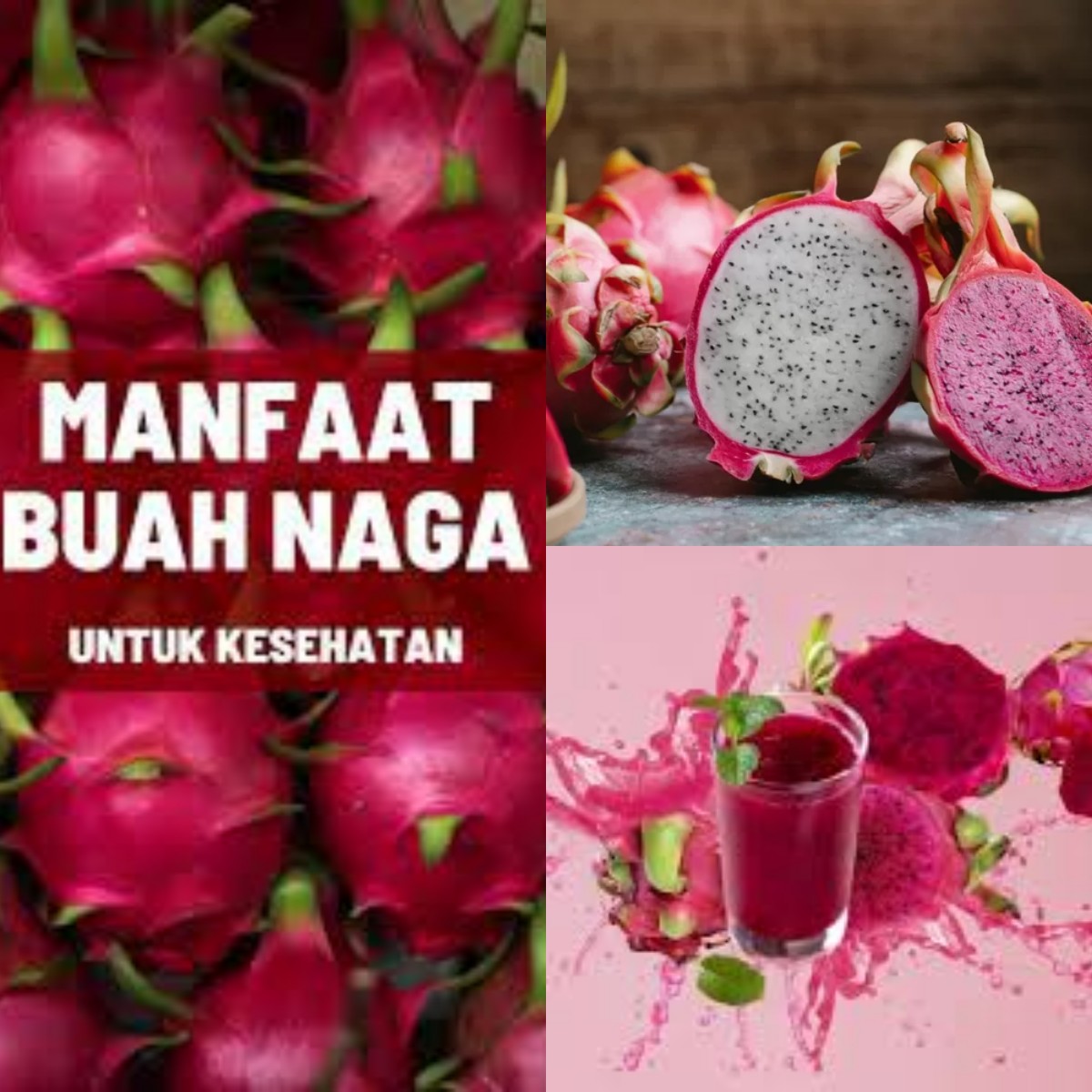 Kenapa Buah Naga Bisa Jadi Superfood? Temukan Manfaatnya!