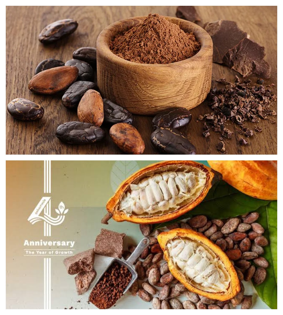 7 Manfaat Cocoa bagi Kesehatan, Kaya Antioksidan dan Nutrisi Penting