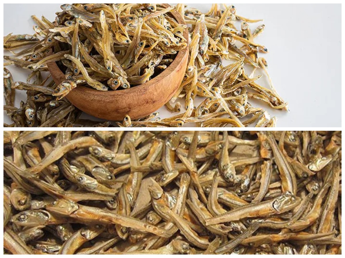 Manfaat Ikan Teri untuk Tubuh: Kecil Ukurannya, Besar Khasiatnya!