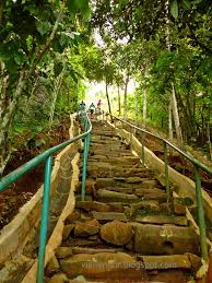 Ini Sosok yang Pertama Menemukan Situs di Gunung Padang, Siapakah Dia?