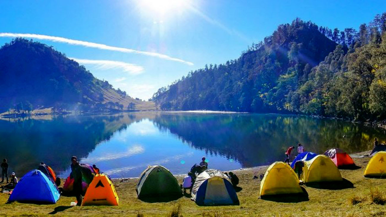 4 Fauna Langka Dunia Ada Di Gunung Rinjani? Ini Daftarnya! 